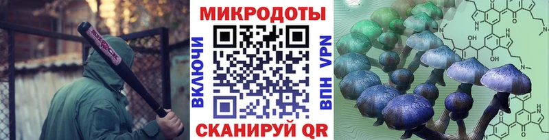 Галлюциногенные грибы MAGIC MUSHROOMS  магазин продажи наркотиков  Нерчинск 